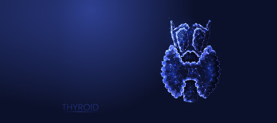 Thyroid HD wallpapers | Pxfuel